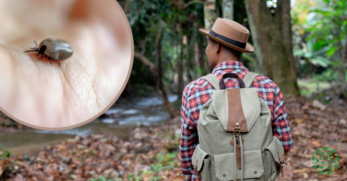 Turistika v přírodě a riziko nákazy boreliózou